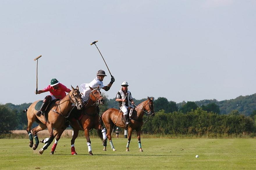 BankhausNeelmeyerOpen2014