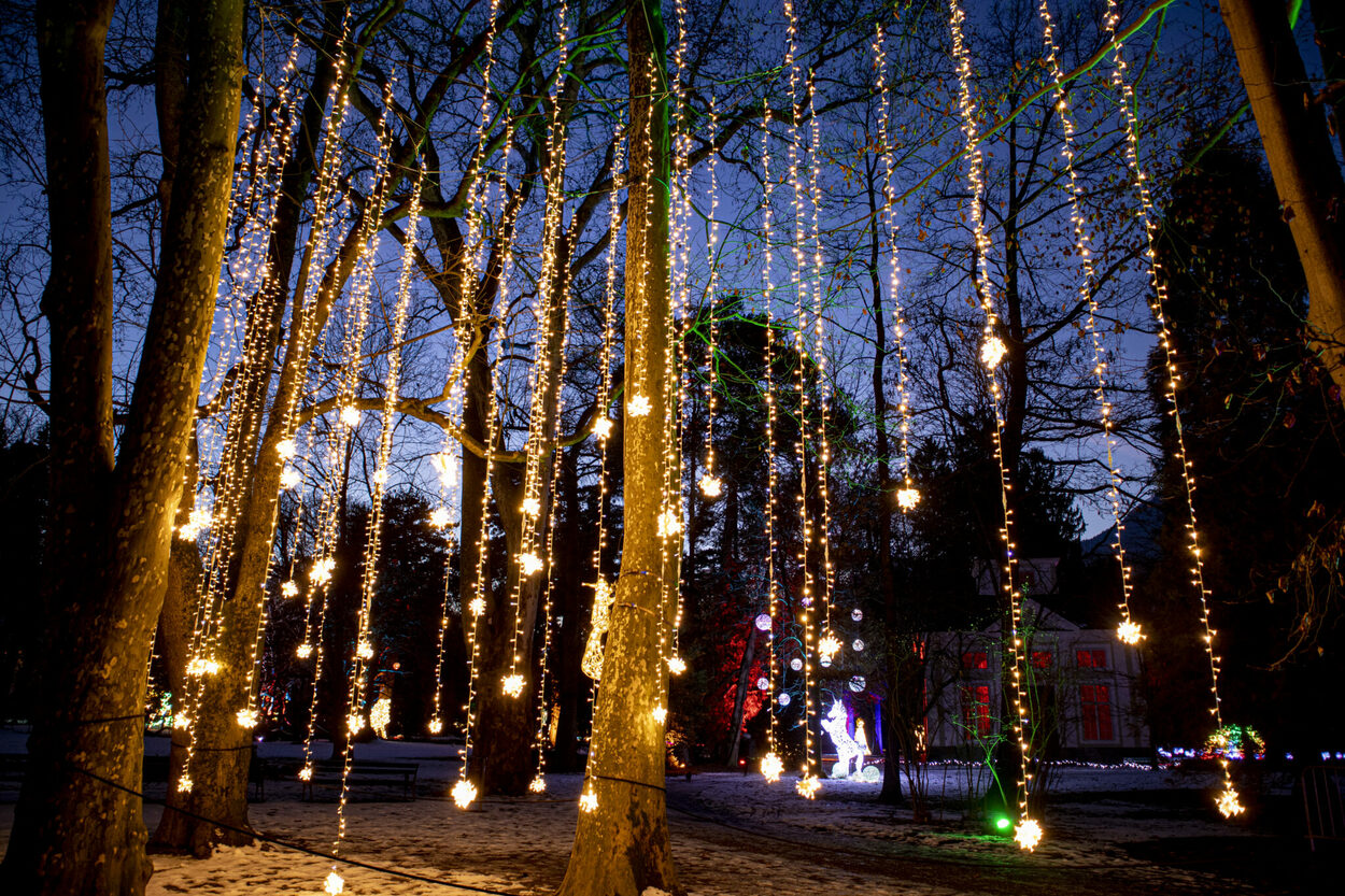 Deluminous – Insel der Lichter: Magisches Lichtspektakel auf der Burginsel Delmenhorst